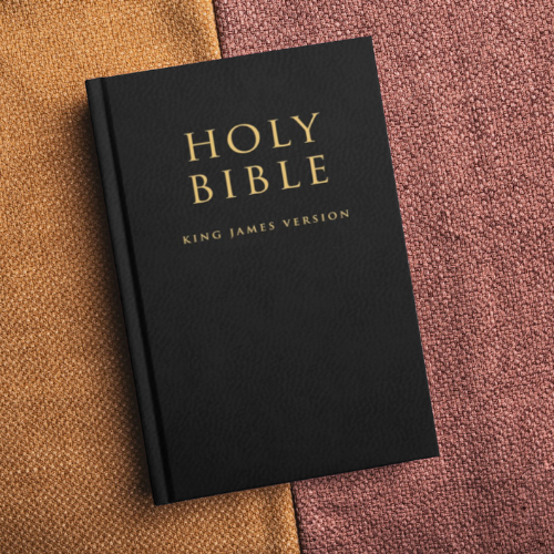 HOLY BIBLE: King James Version (KJV)